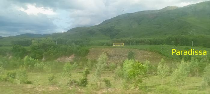 Vietnam Reunification Express Train Tour