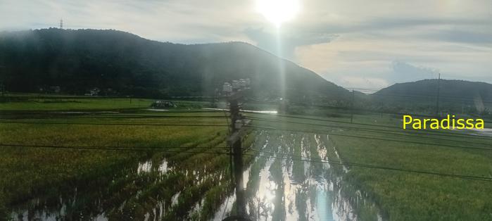 Vietnam Reunification Express Train Tour