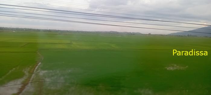 Vietnam Reunification Express Train Tour