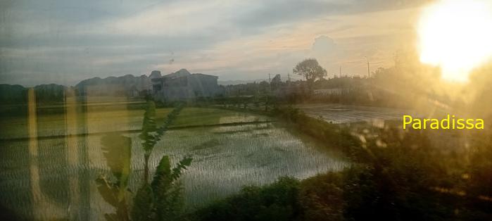 Vietnam Reunification Express Train Tour