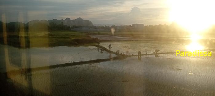 Vietnam Reunification Express Train Tour