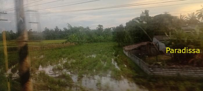Vietnam Reunification Express Train Tour
