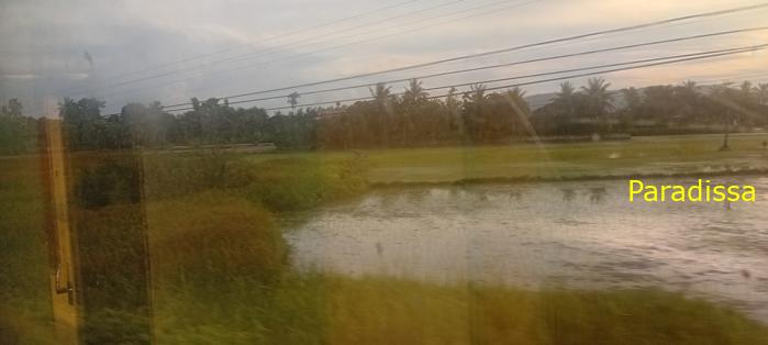 Vietnam Reunification Express Train Tour