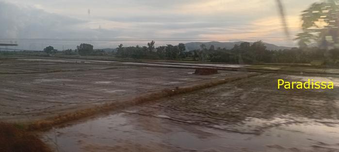 Vietnam Reunification Express Train Tour