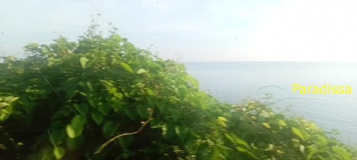 Vietnam Reunification Express Train Tour