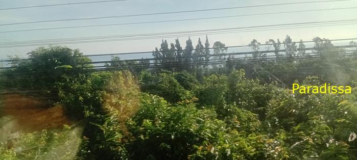 Vietnam Reunification Express Train Tour