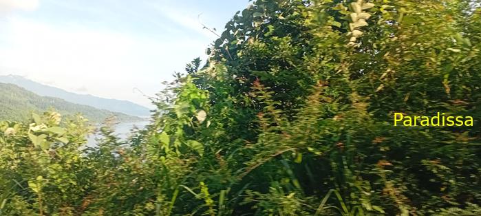 Vietnam Reunification Express Train Tour