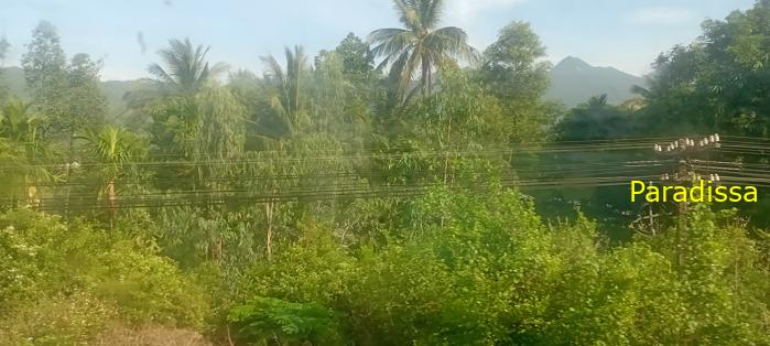 Vietnam Reunification Express Train Tour