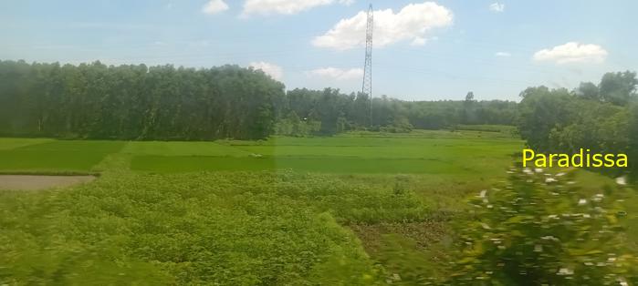 Vietnam Reunification Express Train Tour