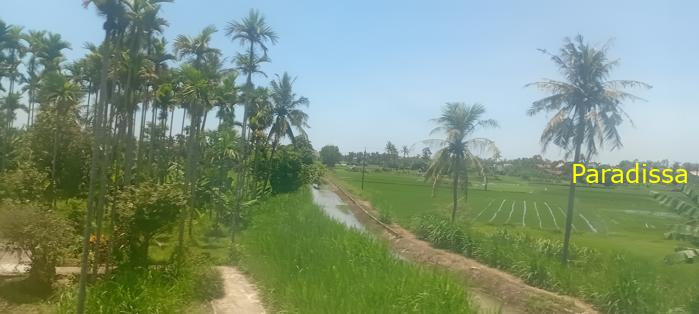 Vietnam Reunification Express Train Tour