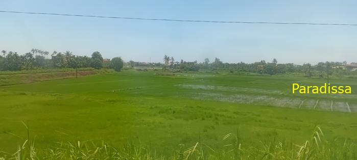 Vietnam Reunification Express Train Tour