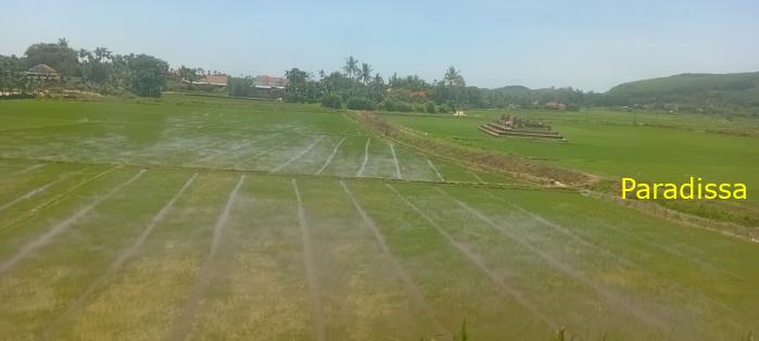 Vietnam Reunification Express Train Tour