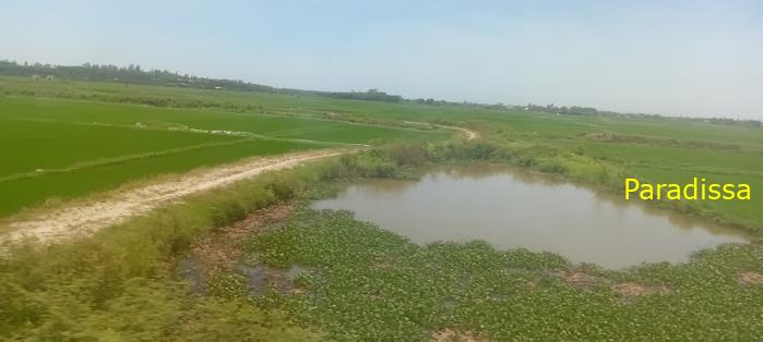 Vietnam Reunification Express Train Tour
