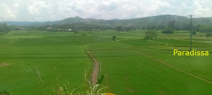 Vietnam Reunification Express Train Tour
