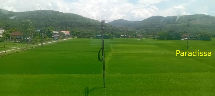 Vietnam Reunification Express Train Tour