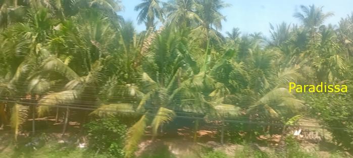 Vietnam Reunification Express Train Tour