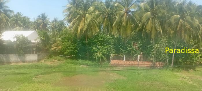 Vietnam Reunification Express Train Tour