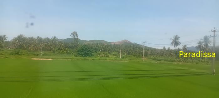 Vietnam Reunification Express Train Tour