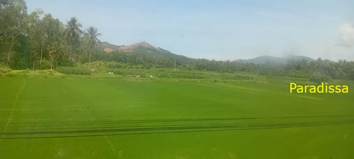 Vietnam Reunification Express Train Tour