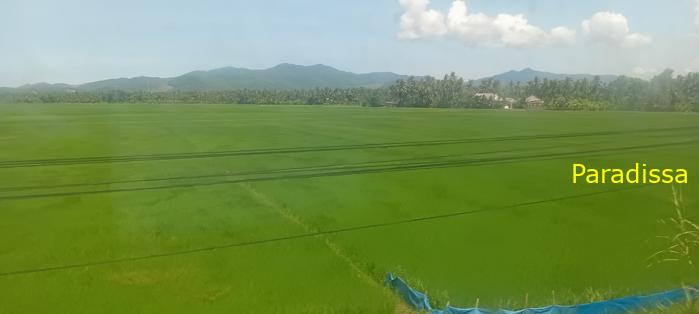 Vietnam Reunification Express Train Tour