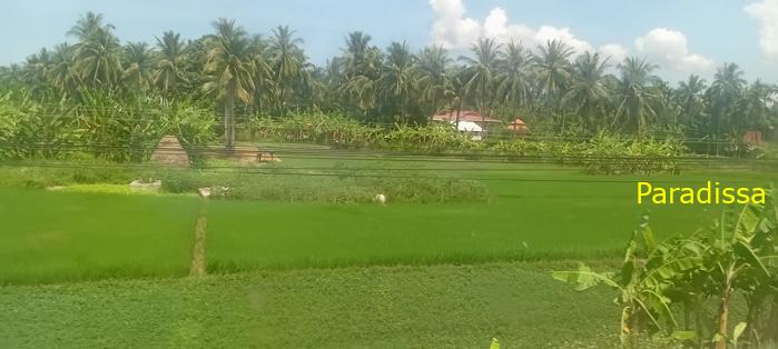 Vietnam Reunification Express Train Tour