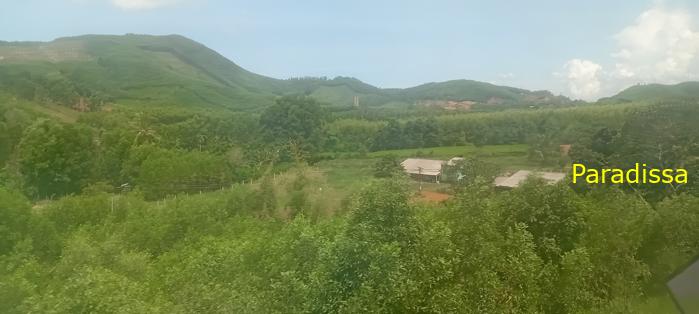 Vietnam Reunification Express Train Tour