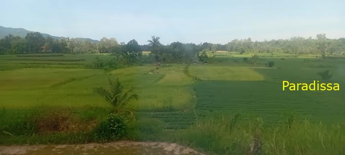 Vietnam Reunification Express Train Tour