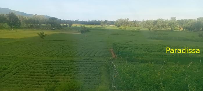 Vietnam Reunification Express Train Tour