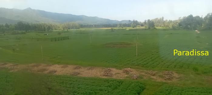 Vietnam Reunification Express Train Tour