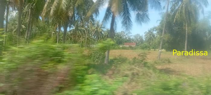 Vietnam Reunification Express Train Tour