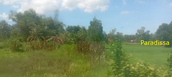 Vietnam Reunification Express Train Tour