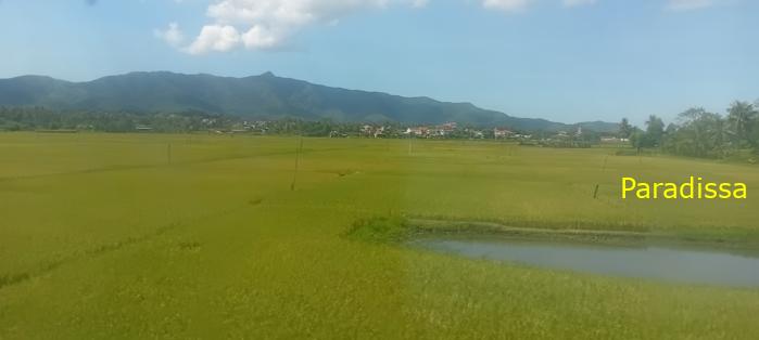 Vietnam Reunification Express Train Tour