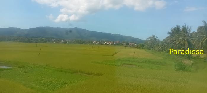Vietnam Reunification Express Train Tour
