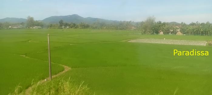 Vietnam Reunification Express Train Tour
