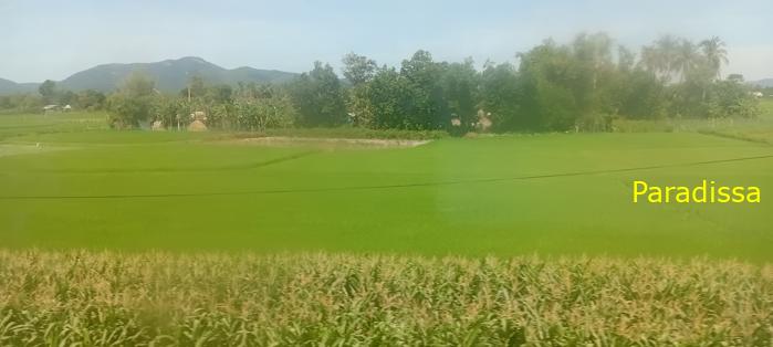 Vietnam Reunification Express Train Tour