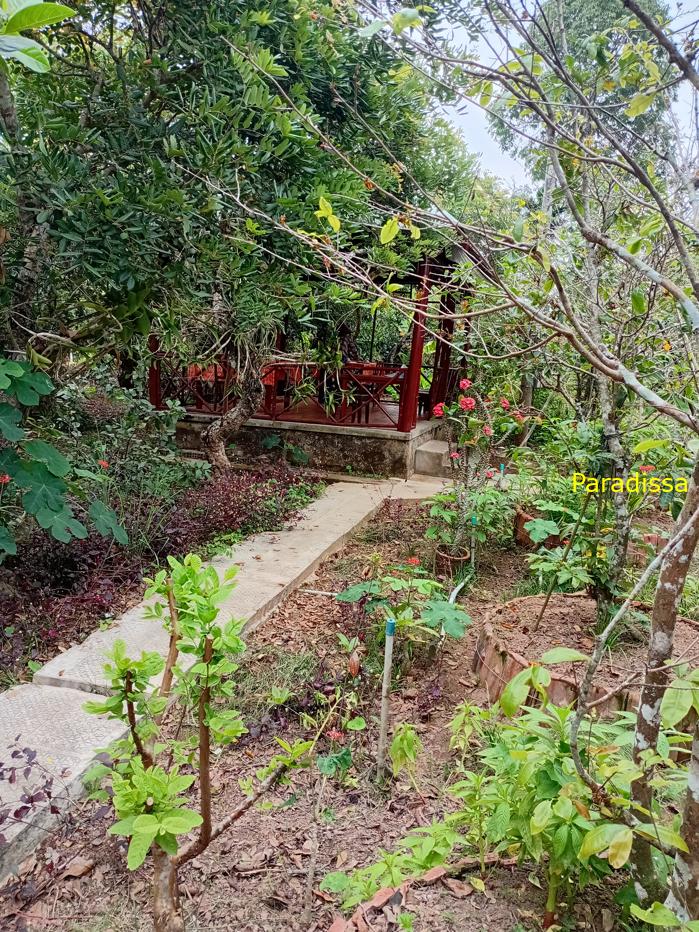 Family vacation in Vinh Long in the Mekong Delta in southern Vietnam Family vacation in Vinh Long in the Mekong Delta in southern Vietnam