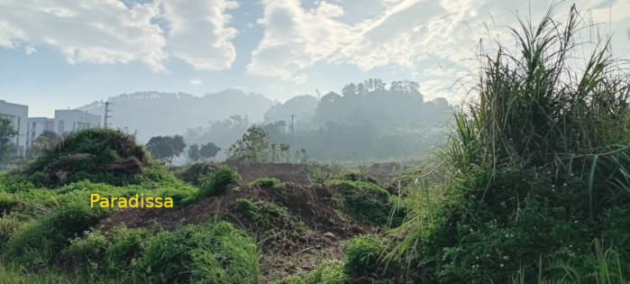 Battle of Vinh Yen - French Indochina War