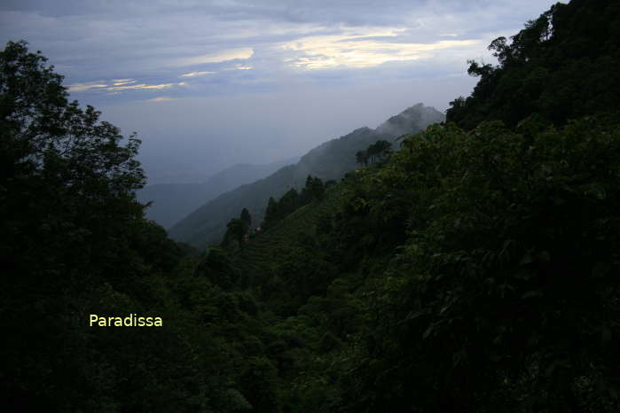 Some time to adore the magnificent nature on our trekking tour at the Tam Dao National Park