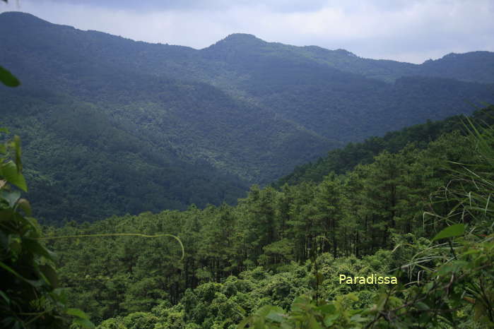 The untouched nature of the Tam Dao National Park