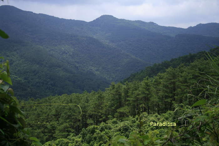 Our trekking tour through the Tam Dao National Park will bring us there today