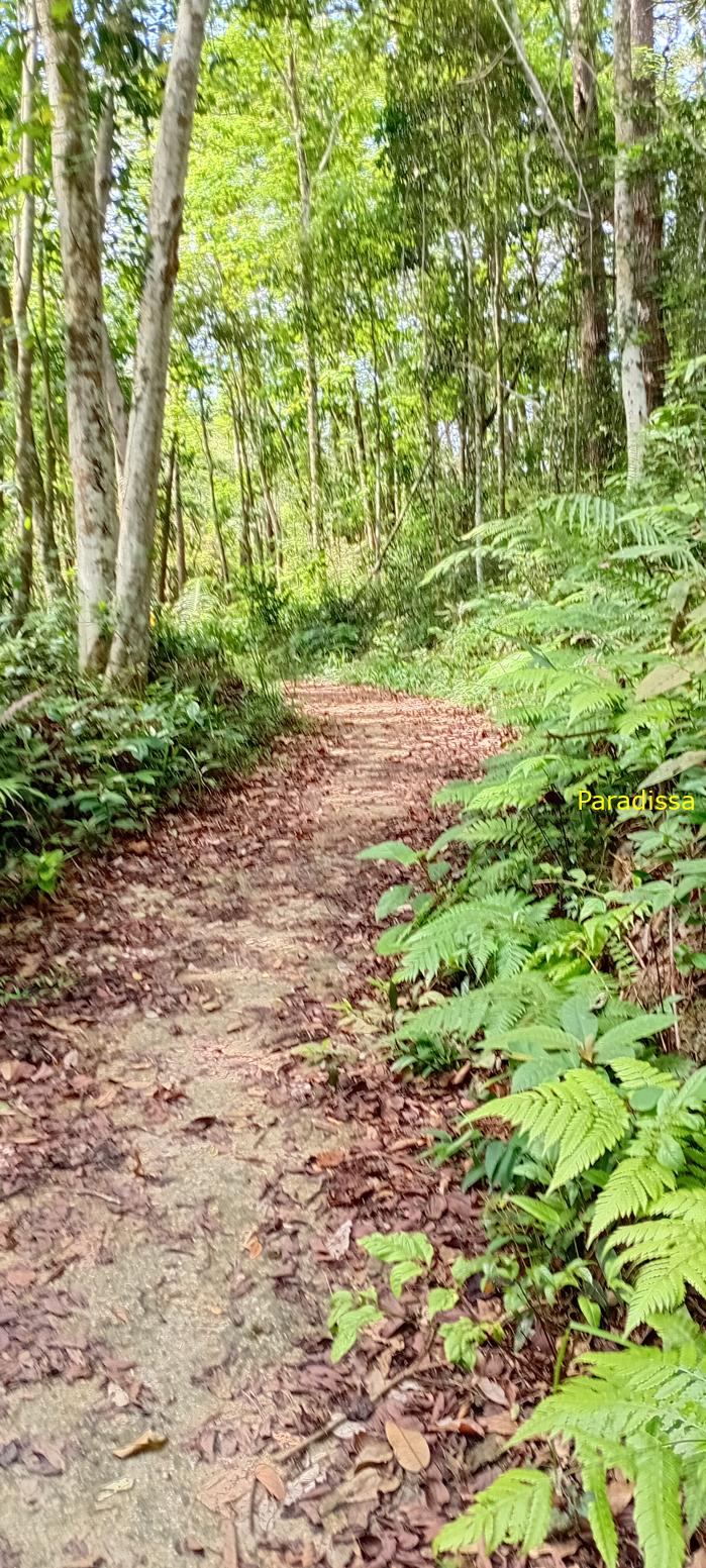 Tam Dao Nature Tour