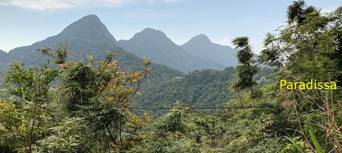 Tao Dao Nature Tour