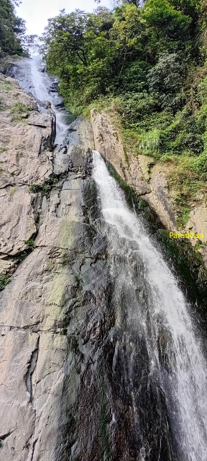 Tam Dao Nature Tour