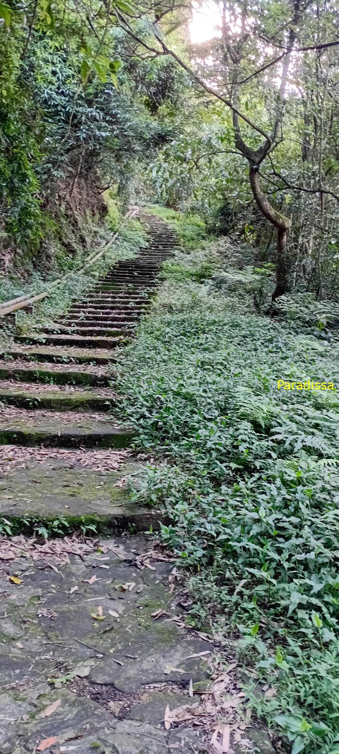 Tam Dao Nature Tour