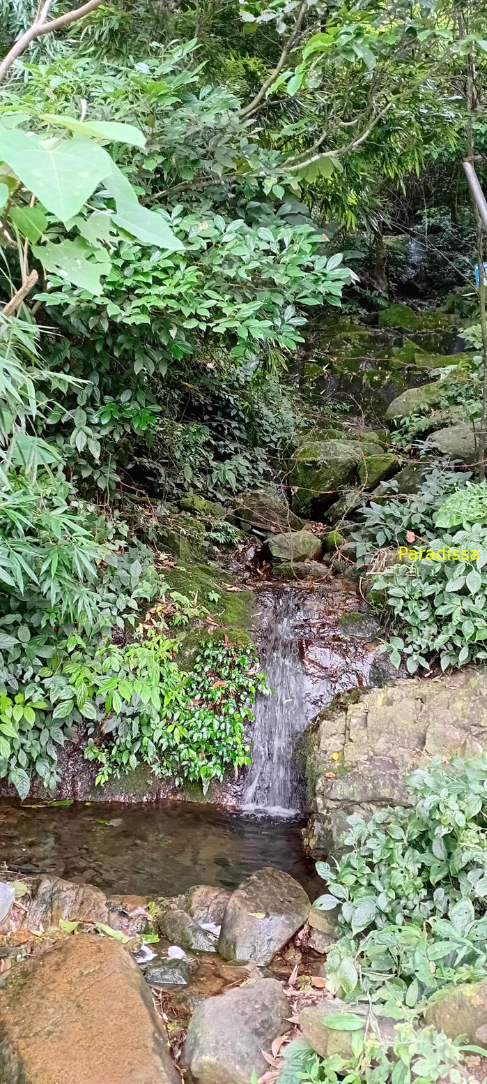 Tam Dao Nature Tour