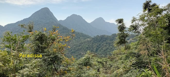 The Three-Mountain Peaks (or Tam Dao in Vietnamese)