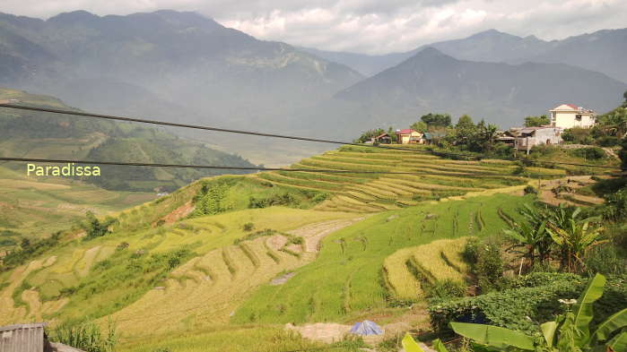 Rice terraces against amazing mountain backdrop at Mu Cang Chai, Yen Bai Province