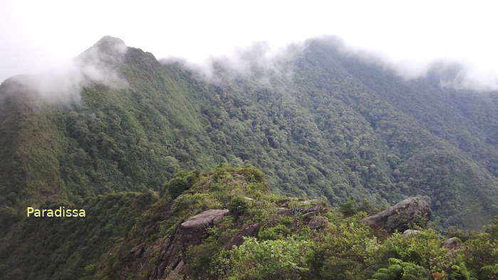 The famed Dinosaur Backbone on the trek to the summit of Mount Ta Xua in Tram Tau District, Yen Bai Province