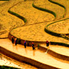 Vietnam Photography Tours